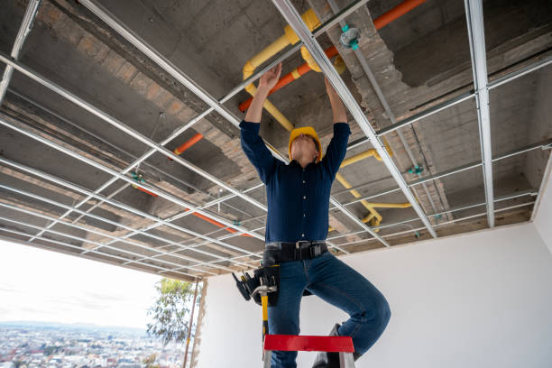 Best Clogged Drain Plumber  in Poplar Plains, CT